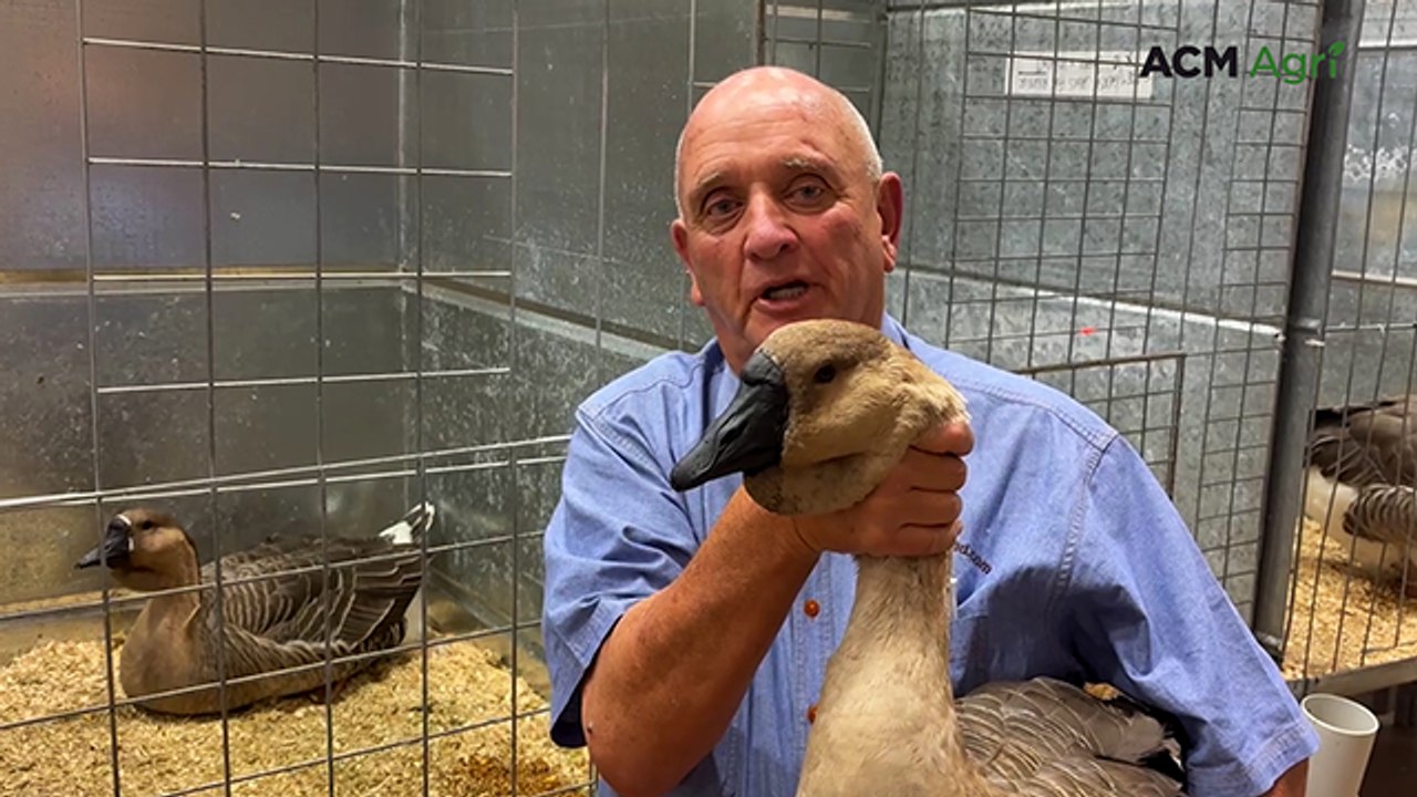 Poultry record at the Sydney Royal Show