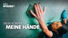 Meine Hände · Wie sie unser Gehirn trainieren