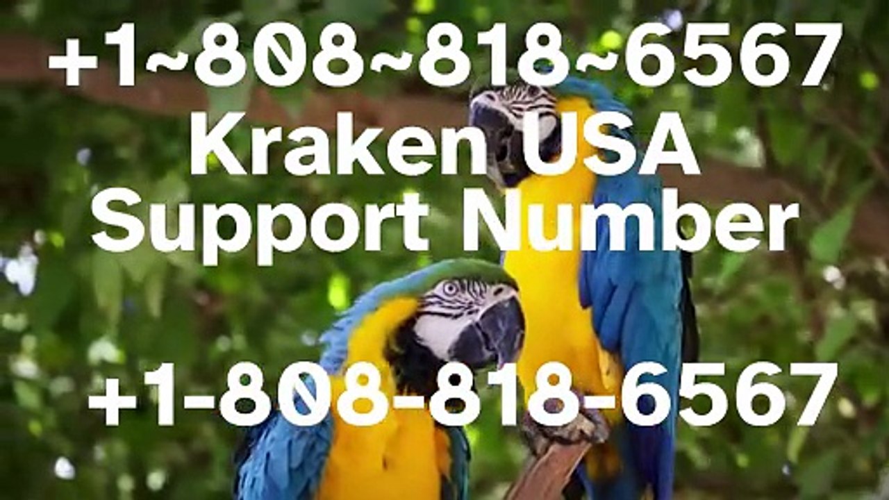 [ {Complete} ]™【BIG】™[*List of KraKenⓃ CUSTOMER© WALLET© Care℗ (Toll Free Number Support) Numbers