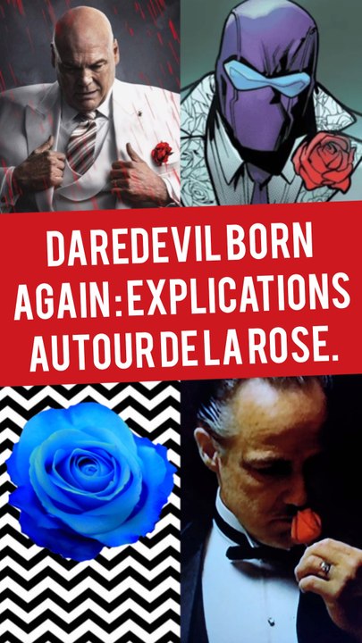 DAREDEVIL BORN AGAIN : EXPLICATIONS AUTOUR DE LA ROSE.