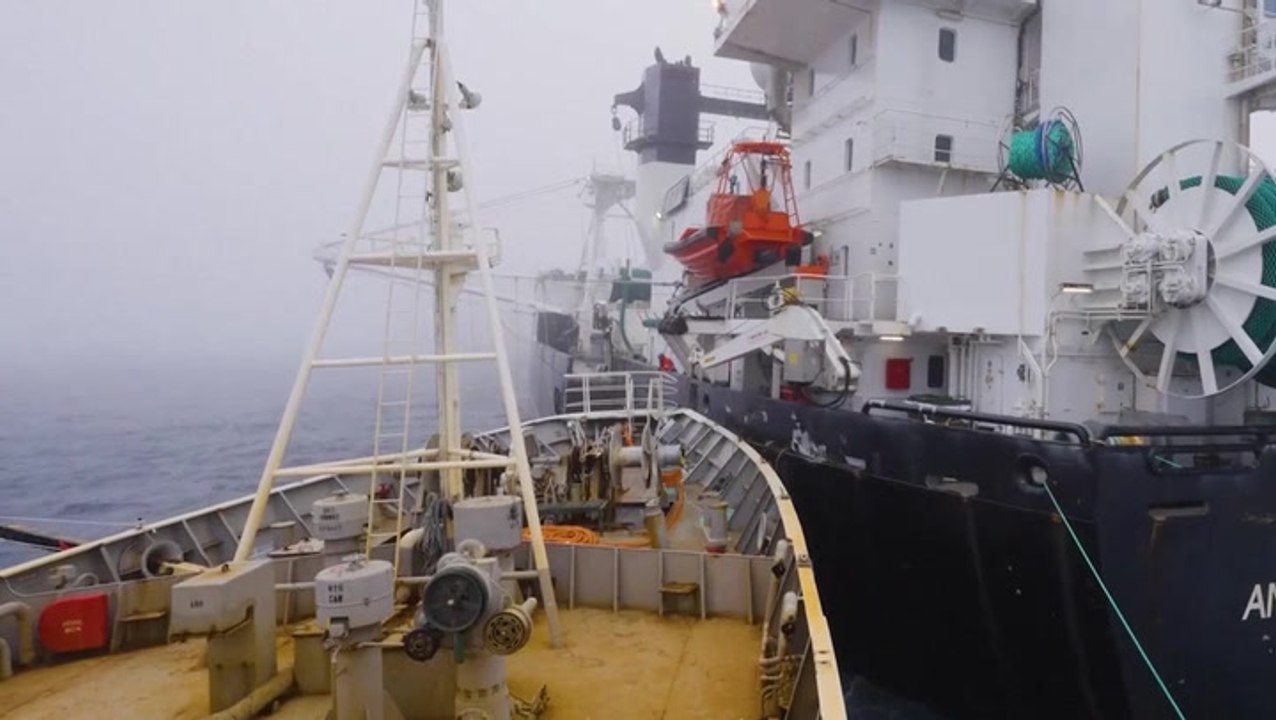 Eco activists accused of ‘terrorist attack’ after Antarctic trawler rammed