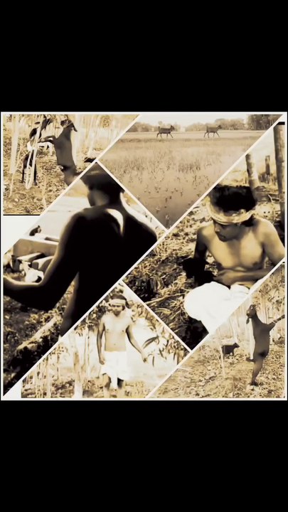 Life is a Struggle, Jo jita wohi Sikandar - The true Story