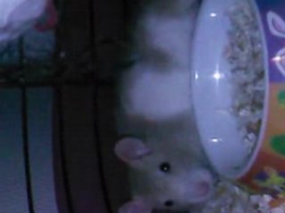 winni reveiller en plein nuit