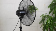Mingletec 4 speeds control heavy duty DC stand fan #mingle #industrial #heavyduty #fan #fyp