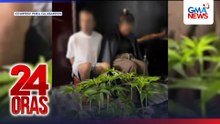P1.5M halaga ng kush, nasabat mula sa 2 umano'y bigtime pusher | 24 Oras