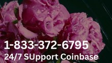 [[Coinbase®]] Customer Service | Official 24/7 Support Guide with Step-by-Step Instructions