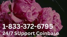 Coinbase® Customer Care | How to Get 24/7 Support – A Detailed Guide