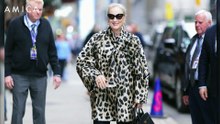 Dal cappotto animalier al ceruleo: le allusioni di Meryl Streep
