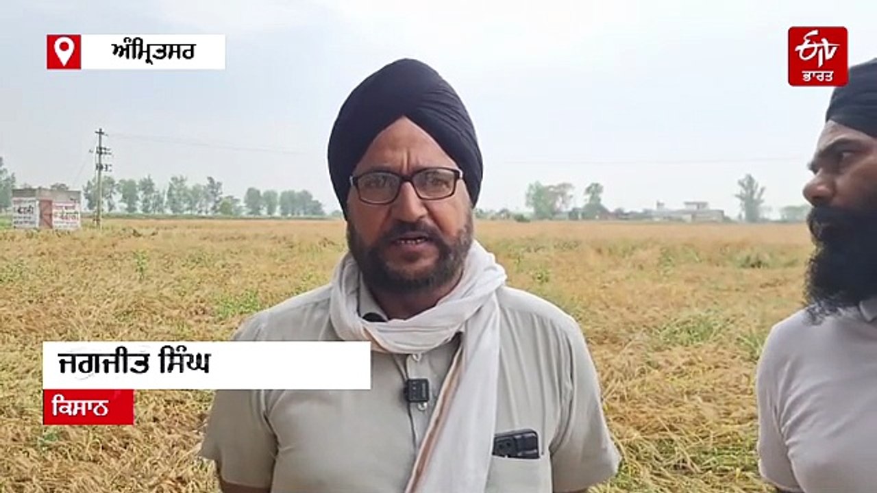 ਖੇਤਾਂ ਵਿੱਚ ਖੜੀ ਫਸਲ ’ਤੇ ਮੌਸਮ ਦੀ ਮਾਰ, ਕਿਸਾਨਾਂ ਦੀ ਵਧੀ ਚਿੰਤਾ