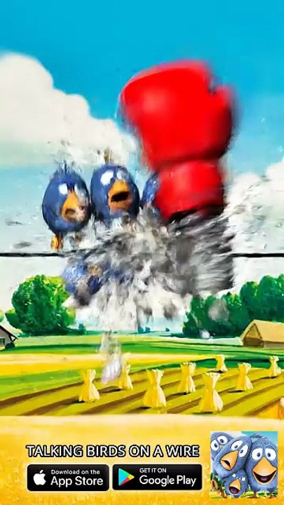 Never trust a music box! 😂💥 Talking Birds On A Wire Game