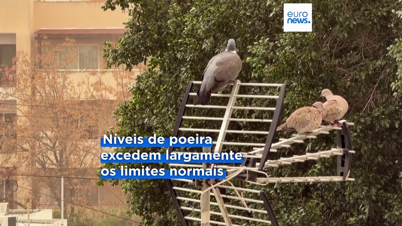 Poeiras do Saara deixam Chipre em alerta vermelho