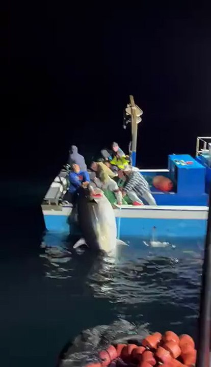 Fishing 🎣 🦦 🐟