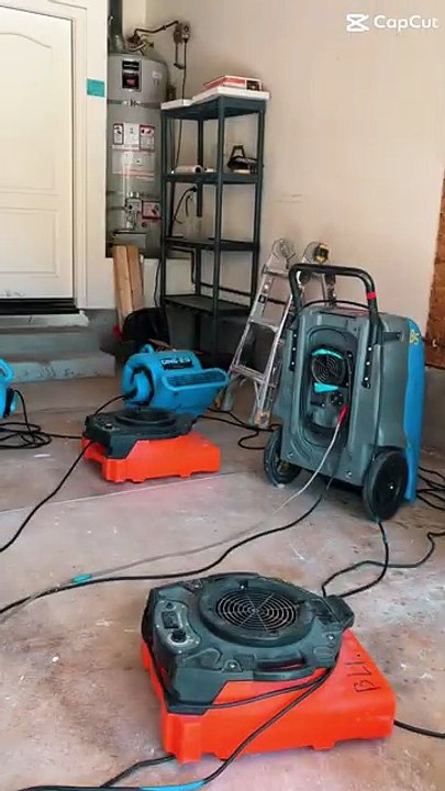 Mold Remediation Seattle WA | Water, Fire & Mold Damage Restoration