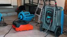 Mold Remediation Seattle WA | Water, Fire & Mold Damage Restoration