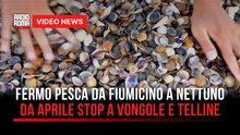 Fermo pesca sul litorale romano: stop selettivo per vongole e telline