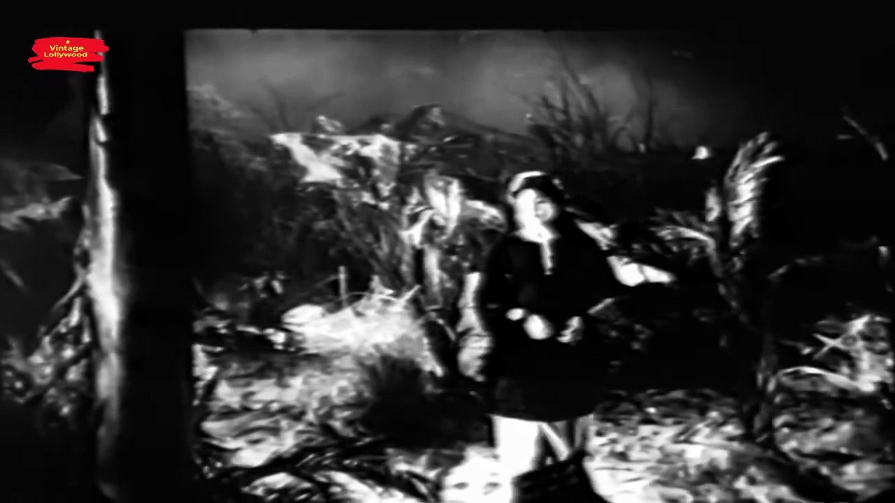 deletekeyifyouseethis (1960)