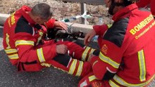 Un bombero tranquiliza al perro del matrimonio gravemente herido en el accidente de las AP-6