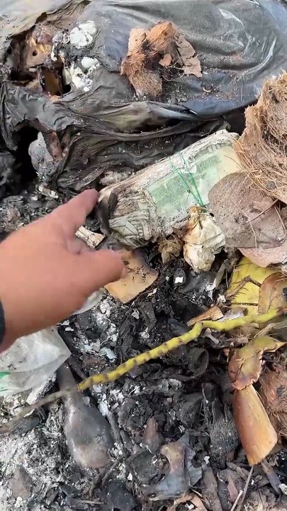 Found money 😱💸 wow 😮 dollars 💸 #foundmoney #dollars #money #reels