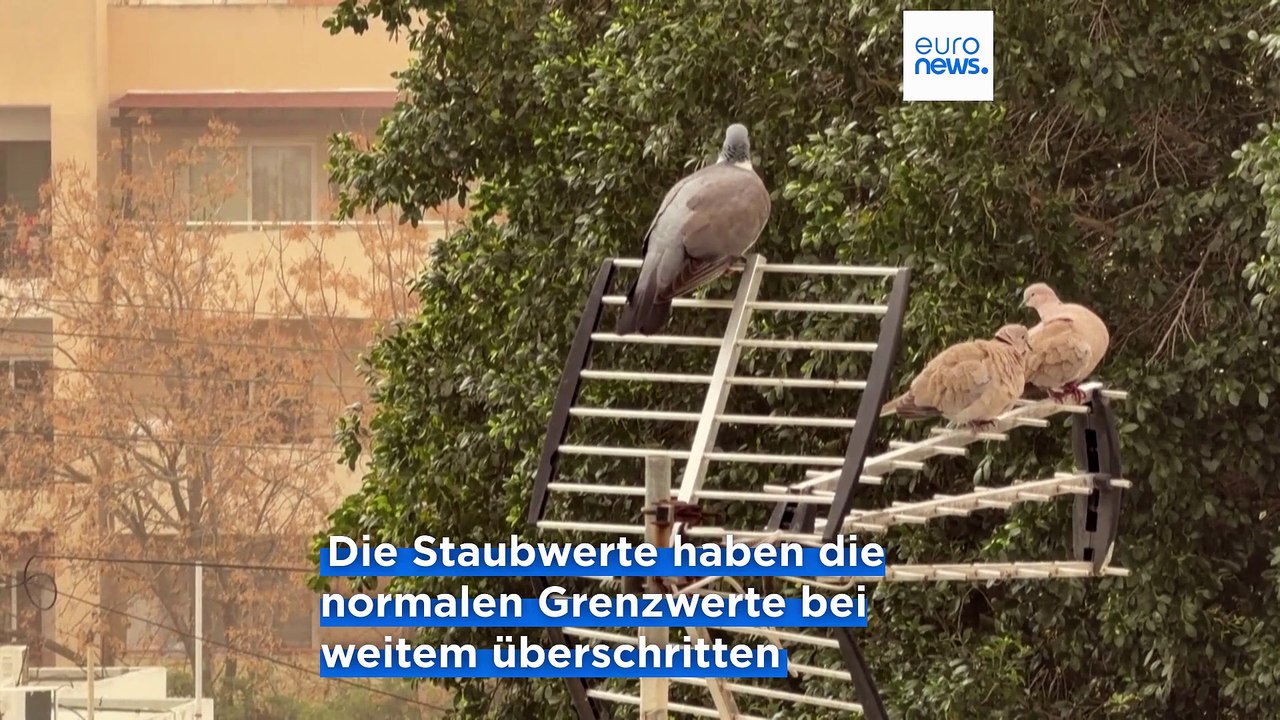 Massive Staubwolke aus der Sahara: Zypern ruft Alarmzustand aus