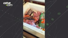 Operação apreende 15 quilos de pescado irregular em Capanema