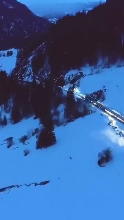 I Saved a Fragile Heir as a Cold Assassin..Now This Puppy Wants to Be My Servant or Plaything?! #chainsesdrama #drama #