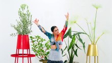 IRENE DE LA ROSA, PAPYRUS, OLIVE TREE, ALOCASIA ZEBRINA & VIBURNUM - BIONIC FESTIVAL STARS