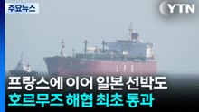 프랑스에 이어 일본 선박도 호르무즈 해협 최초 통과 / YTN