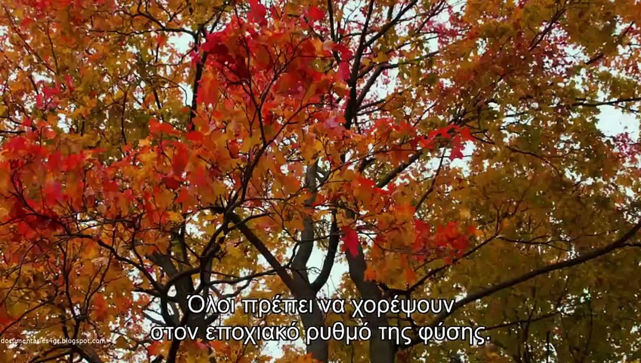 Τα Μυστικά των Μαγεμένων Δασών - Εποχές