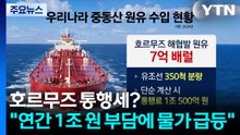 호르무즈 통행세?..."연간 1조 원 부담에 물가 급등" / YTN