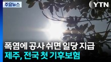 폭염에 공사 쉬면 일당 지급...제주, 전국 첫 기후보험 / YTN