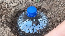DIY fertilizer gallons for thriving soil