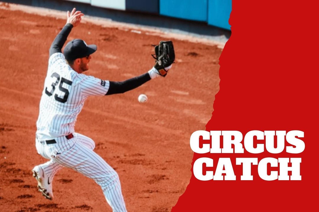 Yankees outfielder Cody Bellinger makes a circus catch and makes fans go wild