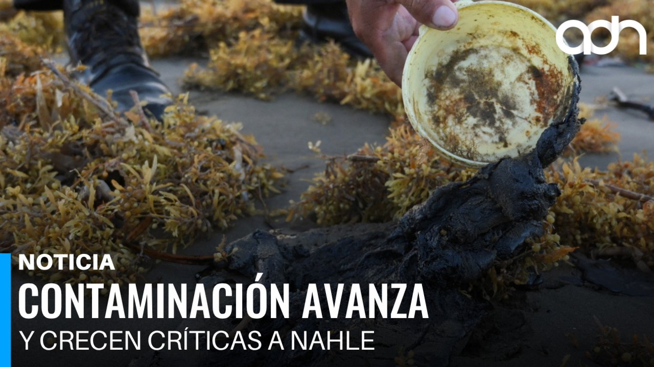 Chapopote en Veracruz afecta a pescadores y acusan al gobierno de minimizar la crisis