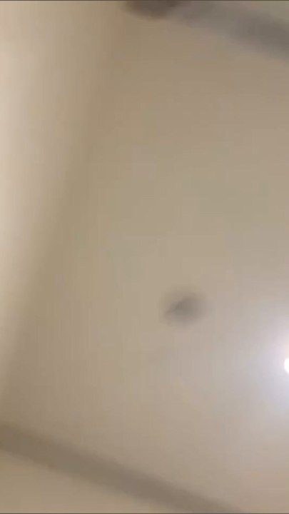 Lizzo films courtroom fit before being excused from jury duty