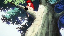 Ranma 1/2 - Episode 3