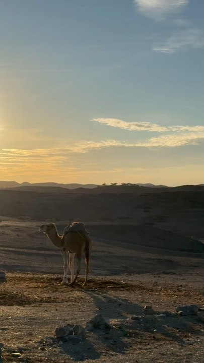 Memories in Morocco 🇲🇦