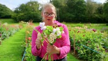 Gardeners' World Season 59 Episode 4