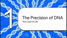Life__The_Ultimate_Program