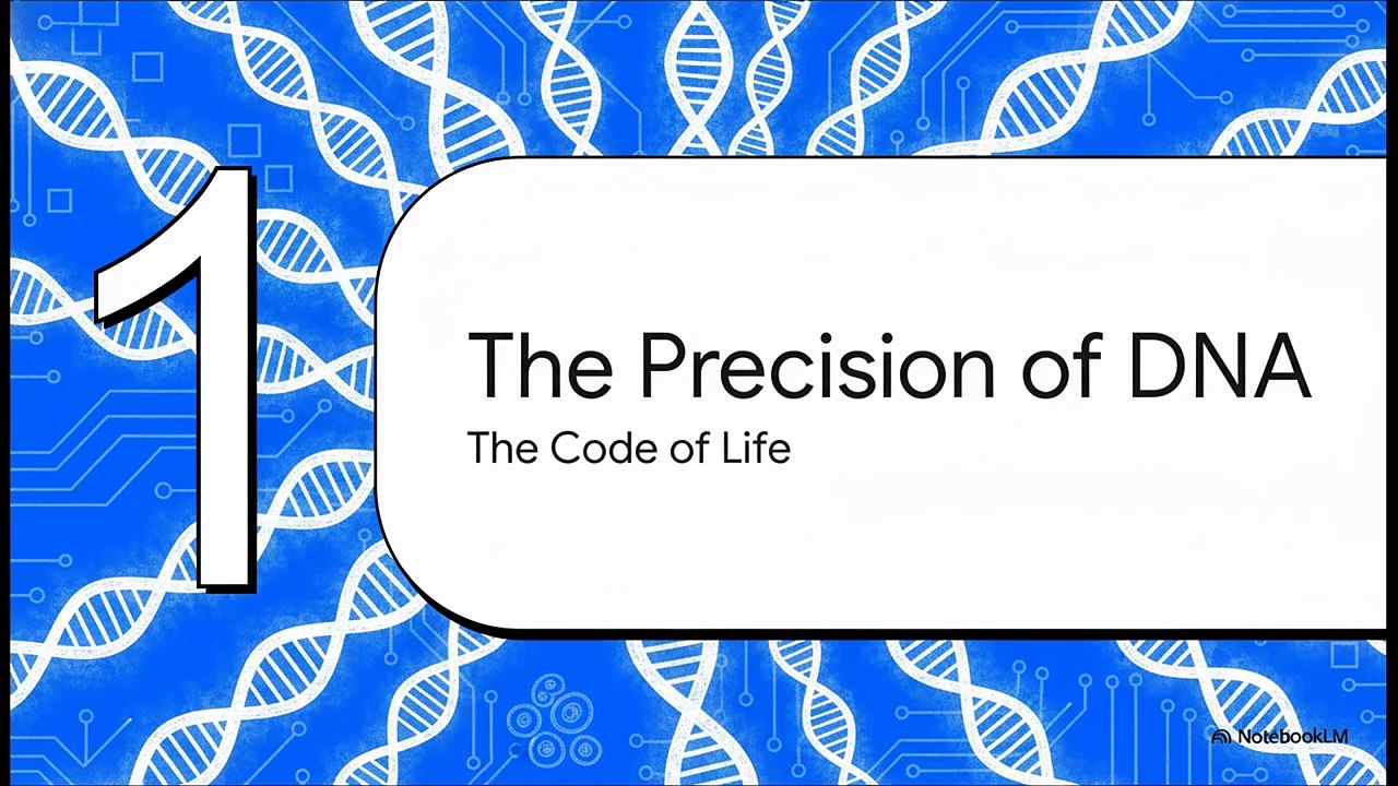 Life__The_Ultimate_Program