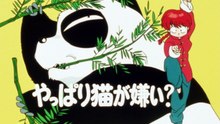 Ranma 1/2 - Episode 23