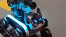Water Shooting Eight Wheels off-Road Puppy Smart Remote Control RC Robot Dog