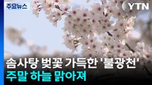 [날씨] 솜사탕 벚꽃 가득한 '불광천'...주말 하늘 맑아져 / YTN
