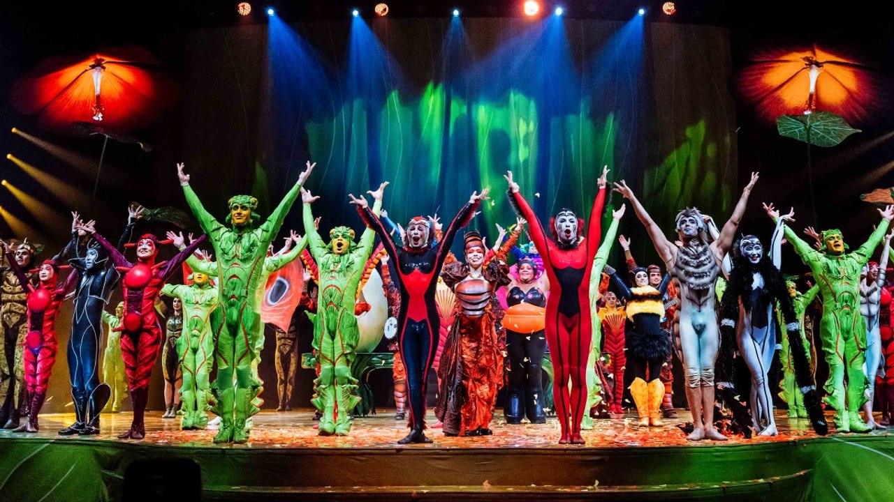 Cirque du Soleil, lo spettacolo «Ovo» al Palazzo dello Sport: la danza colorata degli insetti a ritmo di samba