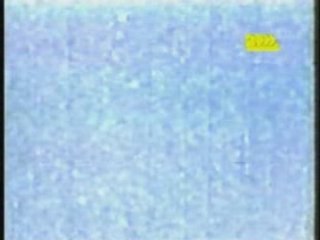 OVNIS 2003: Misterios y Avistamientos