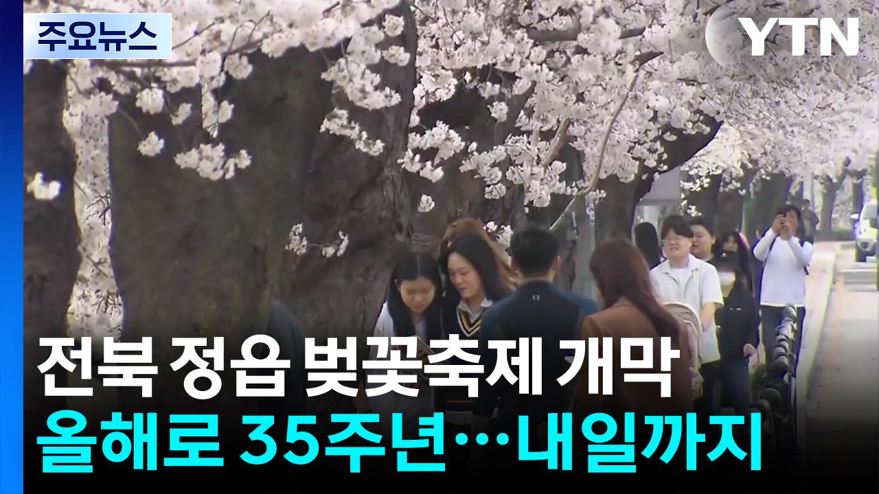연분홍 꽃비 흩날리는 정읍...'벚꽃 축제' 상춘객 북적 / YTN
