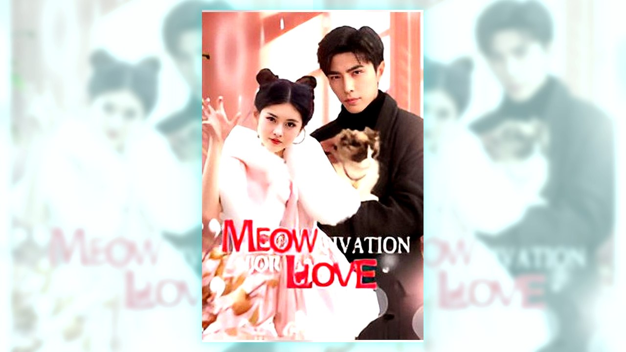 Meow-tivation for Love | Watch Free