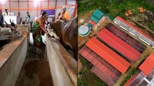Modern Gaushalas Revolutionizing Cow Care in India | NextGenBharat