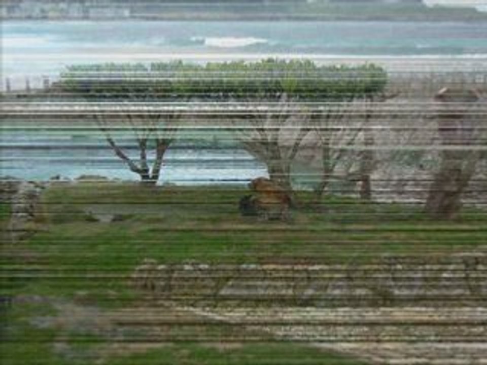 Voyage Espagne [ Diapo ]