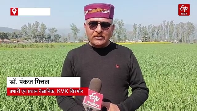 अब गेहूं जितनी आसान हुई जौ की प्रोसेसिंग, किसानों को कम लागत में मिलेगा ज्यादा मुनाफा