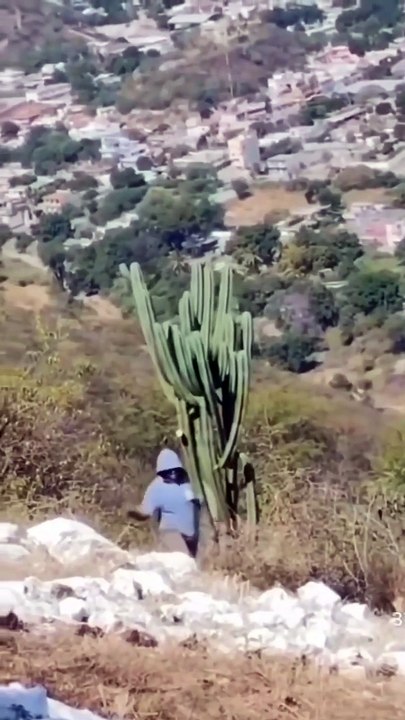 2016년에 공개된 *기묘한 이야기(Stranger Things)*는 단순한 SF 호러 시리즈를 넘어, 현실이 무너지는 순간 속에서 우정과 두려움, 그리고 성장에 대해 이야기하는 작품이다. 조용한 마을 호킨스를 배경으로 한 이 작품은 한 소년의 실종을 계기로 우리가 알고 있던 일상 아래에 무엇이 숨어 있는지를 끊임없이 묻는다. 평범하던 거리와 집들은 점차 비밀과 위험, 그리고 또 다른 차원으로 이어지는 통로가 되며, 시청자는 끝까지 긴장감을 놓을 수 없